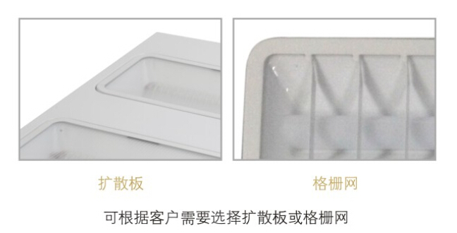灯体