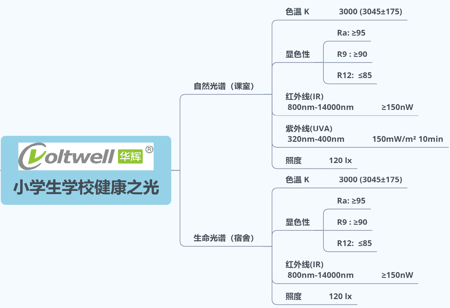 6 小学生学校健康之光.png