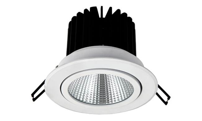 LED 12W COB嵌灯 可调角度 开孔100mm 黄光白光中性光